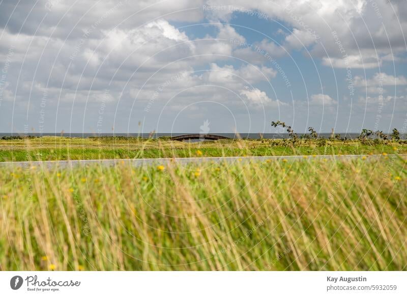 Wooden arch bridge Bridge of Lies salt marshes Arched bridge Nature Sylt Keitum and Munkmarsch Mud flats plank landscape photography hotspot time of day