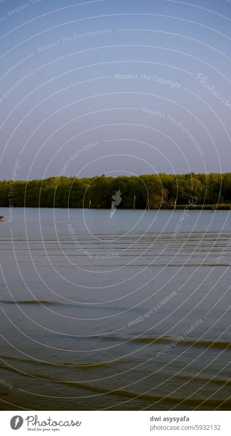 A view of the sea, mangroves and blue sky. SEA Beach Mangrove boat Sky Blue sky Retro analog photography