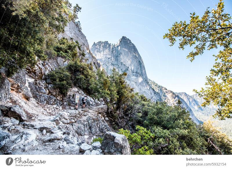 Yosemite Forest Peak Nature Vacation & Travel Rock Sky Mountain Landscape travel yosemite Yosemite National Park California trees Adventure Wanderlust USA