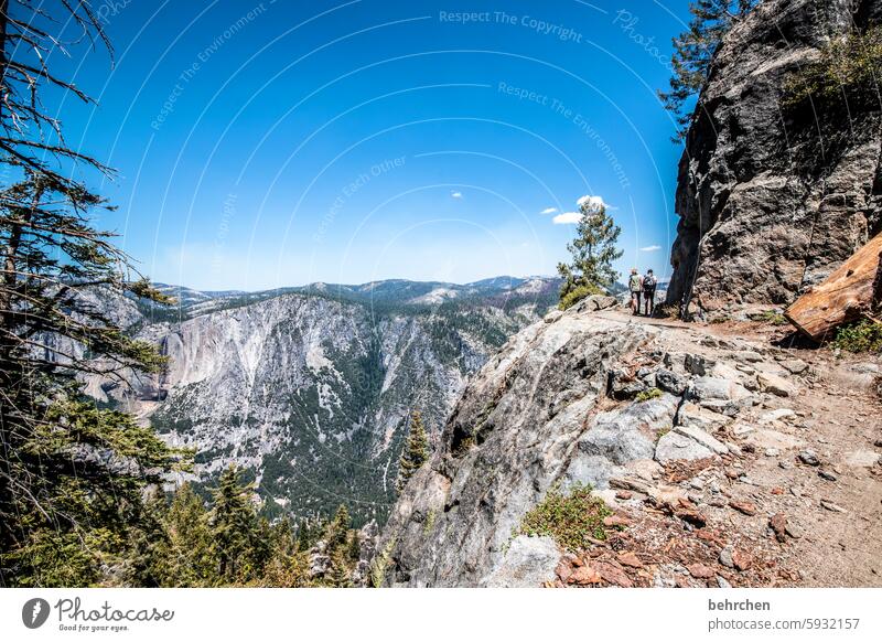 Yosemite Forest Peak Nature Vacation & Travel Rock Sky Mountain Landscape travel yosemite Yosemite National Park California trees Adventure Wanderlust USA