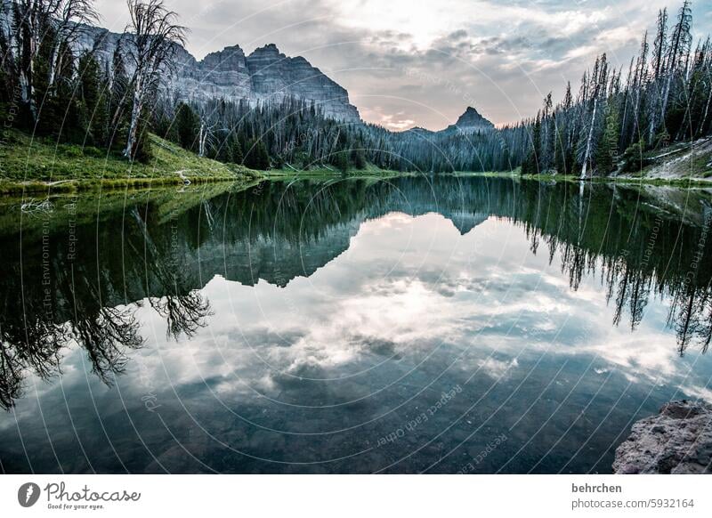 be silent Reflection wide mountain lake Impressive Far-off places Wanderlust especially Nature Vacation & Travel Fantastic Forest Landscape Mountain trees Lake