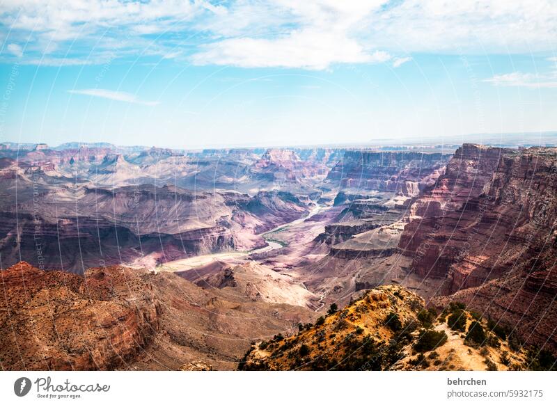 favorite places Vantage point Rock Colorado River stunningly Overpowered Nature Grand Canyon Far-off places Vacation & Travel Sky Fantastic Freedom USA Americas