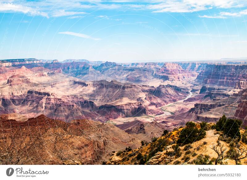 endless Landscape Canyon endlessness Wanderlust In transit Arizona Exceptional Americas USA Freedom Fantastic Sky Vacation & Travel Far-off places Grand Canyon