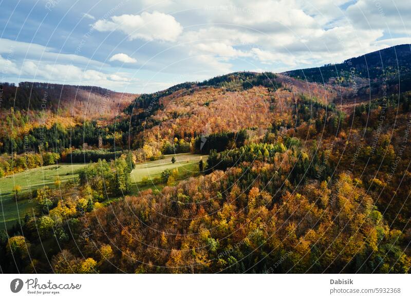 Aerial view of colorful autumn forest covering rolling hills mountain tree aerial view fall nature landscape leaves foliage scenery season wood orange yellow