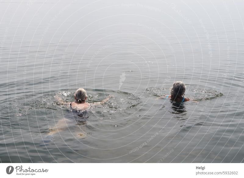 Hallig Gröde | two senior citizens swim in the North Sea Human being Woman Senior citizen Adults Ocean Water reverberant be afloat Summer Nature out Flood