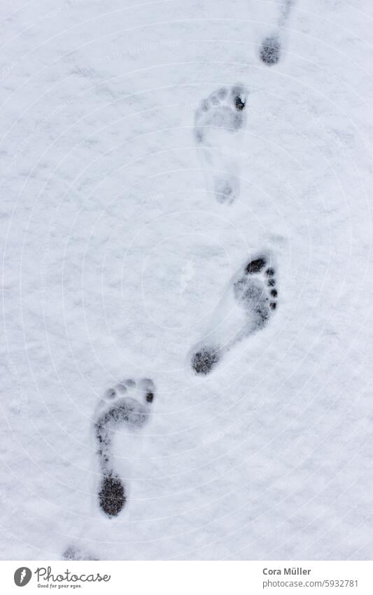 Barefoot tracks in the snow Snow Tracks footprint Cold Winter Footprint Feet snowflakes plan View from above cold feet Harden hardening Snow running Walking