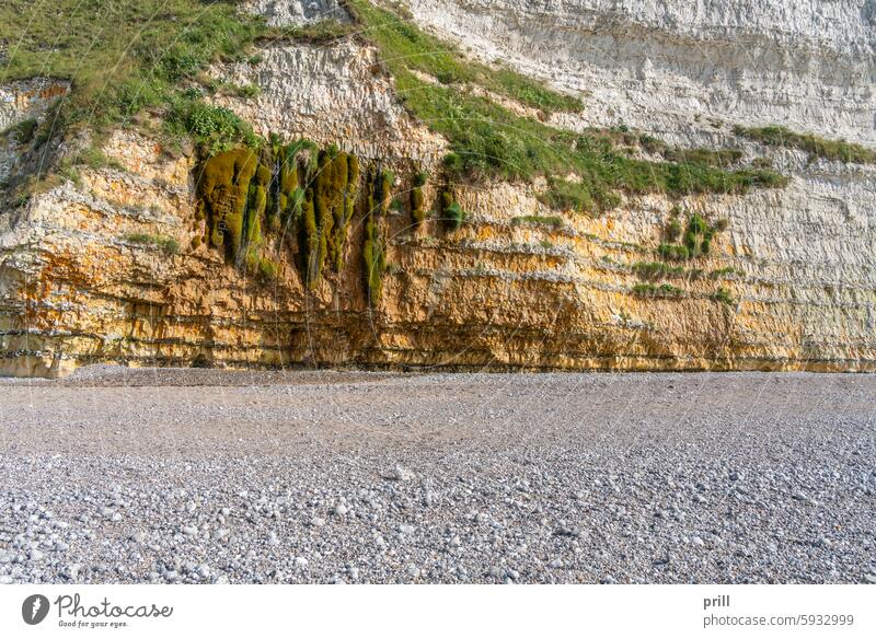 Chalk cliff near Saint Leonard saint leonard normandy seine-maritime france Pays de Caux english channel alabaster coast coastline chalk cliff rock formation