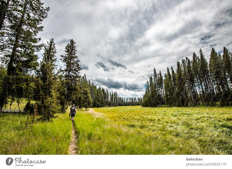 yellowstone Adventure Nature Wanderlust wide Far-off places Vacation & Travel Sky Landscape Wyoming Americas USA Yellowstone National Park Wilderness Together