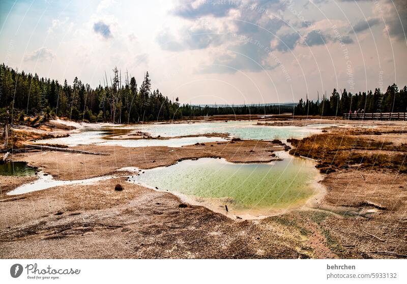 yellowstone Landscape Volcano volcanic landscape Clouds Sky Geyser USA Wyoming Yellowstone National Park Americas Vacation & Travel Far-off places Fantastic