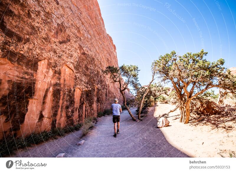 On the shady side ardor Canyon Nature Landscape Adventure In transit Wanderlust Exceptional USA Americas Freedom Vacation & Travel Far-off places Utah