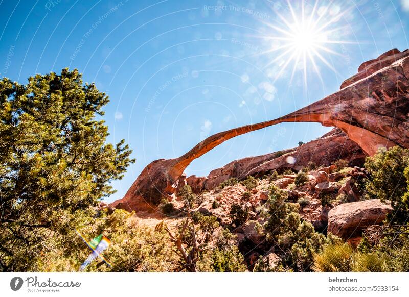 utah Arch In transit Nature Landscape Adventure Wanderlust Exceptional USA Americas Freedom Vacation & Travel Far-off places Utah Arches National Park Rock