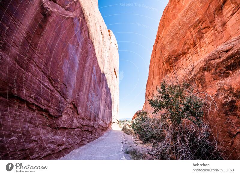 there is always a way Stone wall Impressive Sky Rock Arches National Park Utah Far-off places Vacation & Travel Freedom Americas USA Exceptional Wanderlust