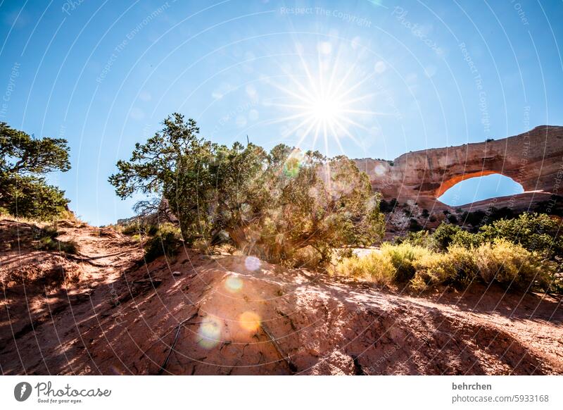 patchy | natural wonder Impressive Sky solar star Sun Sunlight Rock Arches National Park Utah Far-off places Vacation & Travel Freedom Americas Exceptional USA