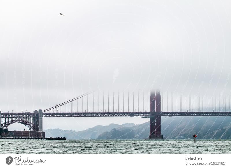 bridging day Americas birds Far-off places Clouds Vacation & Travel Sky San Francisco USA Fantastic Exceptional Fog Golden Gate Bridge Landmark Architecture