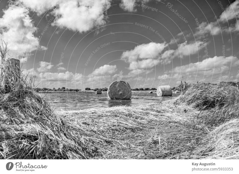 storm surge After the storm surge storm tide Bale of straw Hay bale North Sea Sylt island North Sea coast Clouds Nature flora Botany Summer Agriculture Ocean