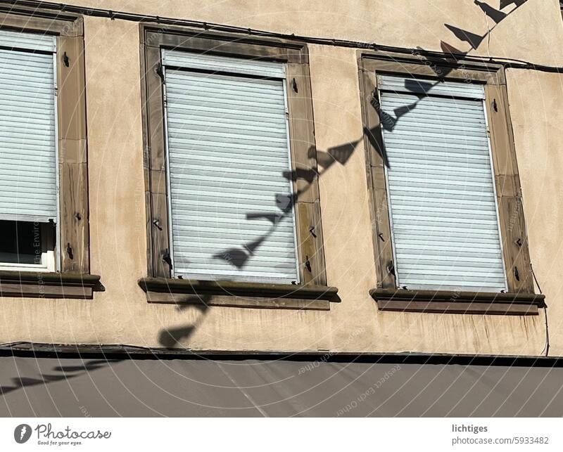 Twitching pennants - shadows of fluttering pennants bleakly closing windows Shadow Window shutters Facade sad