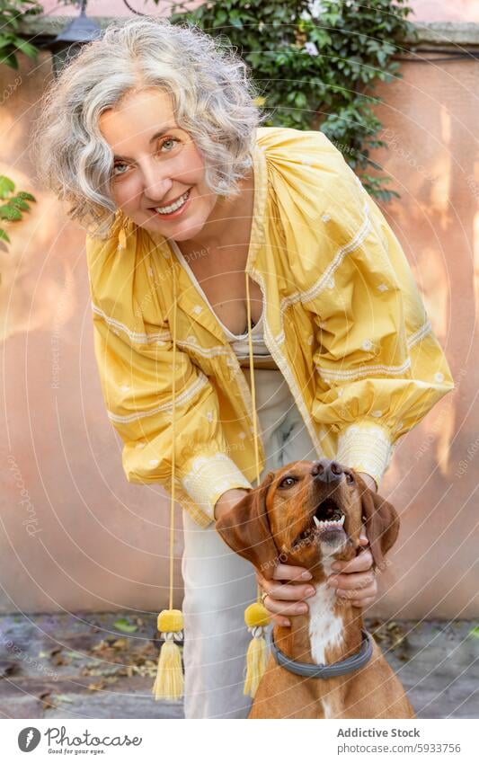 Mature woman playing with her dog outdoors mature garden playful interaction smile cheerful curly hair gray hair medium dog brown dog sunlight joy pet owner