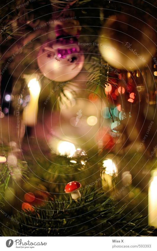 mushroom Decoration Christmas & Advent Tree Glittering Illuminate Mushroom Christmas tree Christmas tree decorations Christmas decoration Glass ball
