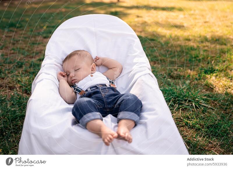 Family outing with sleeping child in a peaceful park tranquil serenity blanket calm sunshine grass outdoor rest baby relaxation family bonding nature greenery