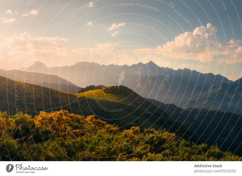 Golden hour at Picos de Europa mountain range picos de europa cantabria valley sunrise golden hour summer nature landscape peak outdoor sky cloud morning