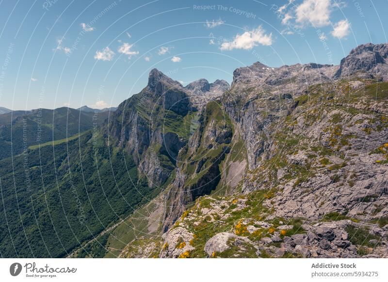 Majestic views of Picos de Europa mountain ranges in summer peak valley landscape picos de europa green rugged outdoor nature faceless sky blue lush cantabria