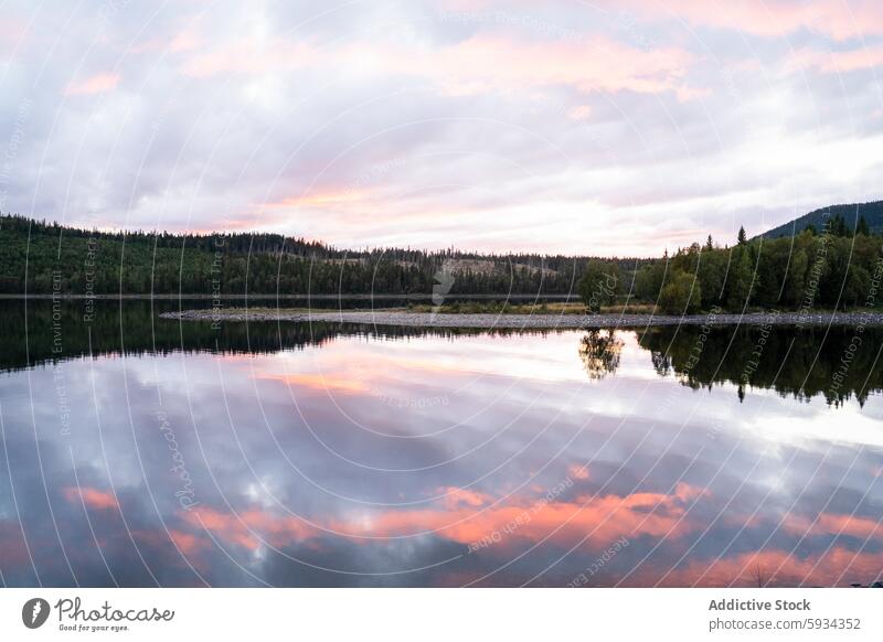 Serene lakeside at sunset with forest backdrop reflection water sky scenery tranquil serene pastel vibrant dense peaceful camping dusk evening outdoor nature