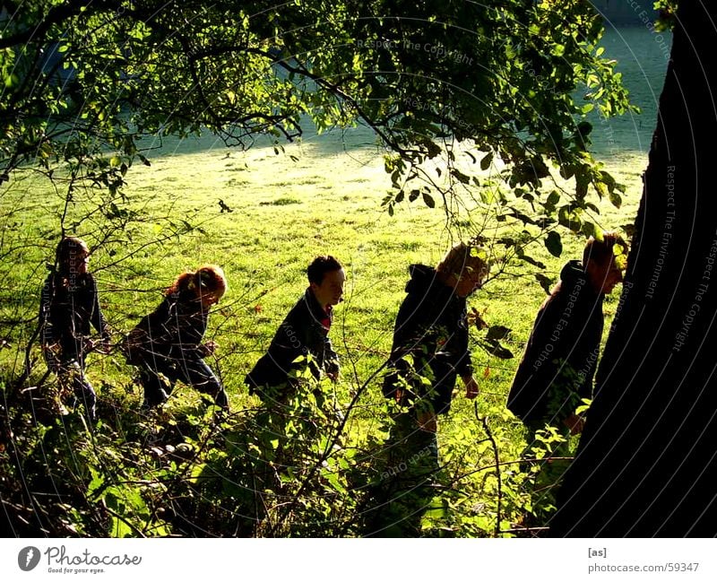 The Companions Friendship Forest Meadow Hiking Tree Gandalf Society Human being stock and stone Vacation & Travel Landscape Frodo of all around