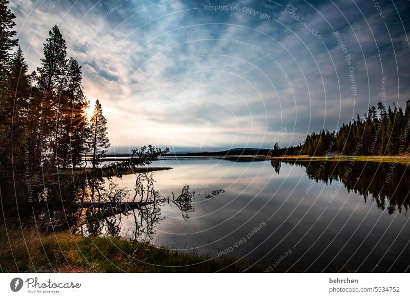 when the night slowly falls asleep Yellowstone lake silent Wyoming Water Lake reflection Tree Yellowstone National Park Sunrise Sunlight Twilight Longing