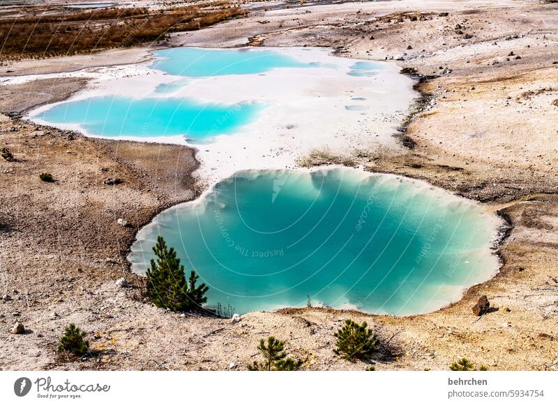 colorful especially Water Impressive Wanderlust Nature Exceptional Fantastic Far-off places Vacation & Travel Americas Yellowstone National Park Wyoming USA