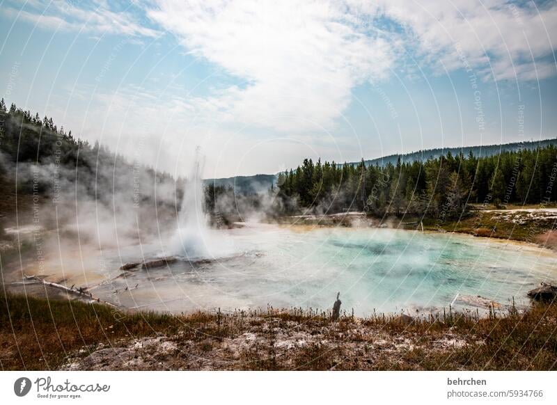 yellowstone Landscape Volcano volcanic landscape Clouds Sky Geyser USA Wyoming Yellowstone National Park Americas Vacation & Travel Far-off places Fantastic