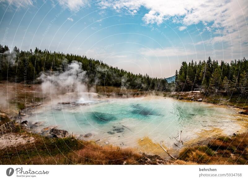 yellowstone Landscape Volcano volcanic landscape Clouds Sky Geyser USA Wyoming Yellowstone National Park Americas Vacation & Travel Far-off places Fantastic