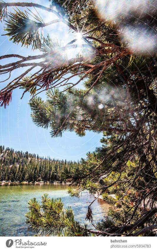 dream world silent Lake USA Americas California Yosemite National Park yosemite travel Landscape Mountain Sky Vacation & Travel Nature Forest trees Stone pine