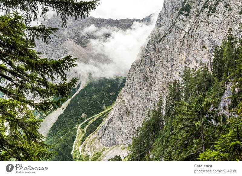 mountain hike Sky Nature stones Mountain Stony Peak Beautiful weather daylight Climate Environment Vacation & Travel Day trees Bushes Landscape Forest Fir tree