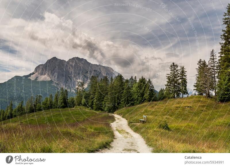 Hiking trail on the Wetterstein Gray Green Alpine pasture hiking trail Alps Forest Fir tree Storm clouds fir forest Summer mountains wide Tourism trees