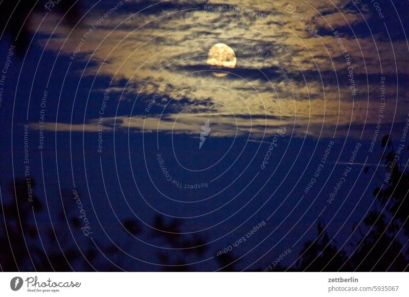 Waxing moon behind clouds Evening altocumulus Menacing Dark Twilight somber colour spectrum Closing time Worm's-eye view Star Thunder and lightning