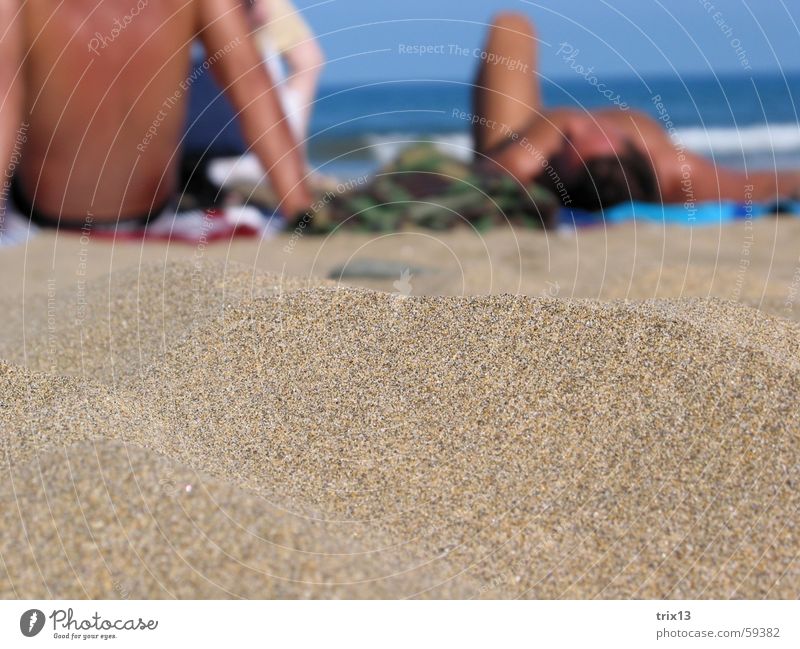 beachfront Beach Ocean Near Far-off places Blur Man Human being Brown Grain Gran Canaria Playa del Ingles Physics Sunbathing Womanizer Spaniard