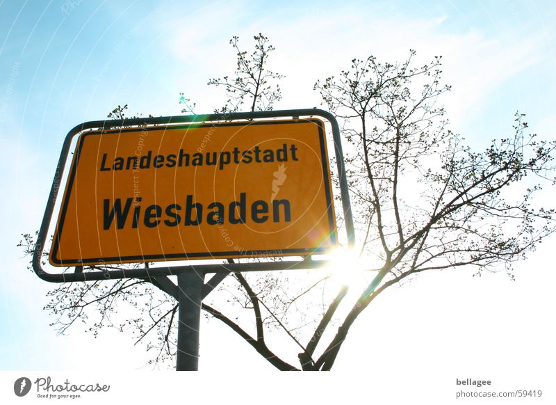 place to be Yellow Wiesbaden Sunbeam White Brown Distinctive Town Blue Sky Signs and labeling sun tree Branch Twig steady Exterior shot