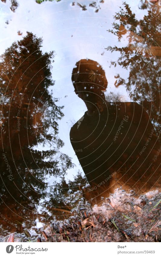 Where's the photographer? Reflection Puddle Dirty Mud Tree Man Clouds Green Brown White Sunlight Light Black Dark Water Human being Sky Blue Multicoloured