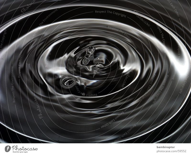 sad waters Drops of water Waves Macro (Extreme close-up) Black White Water Circle concentric circles Reflection drop wave Black & white photo
