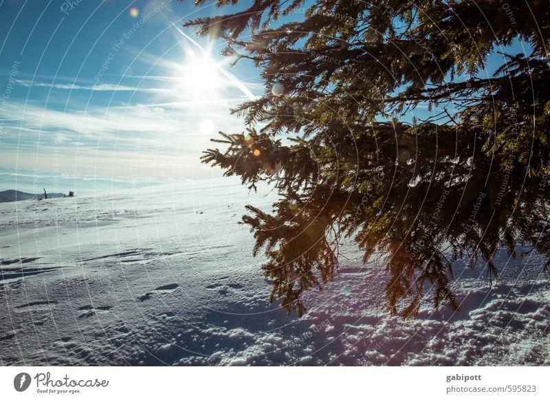 Winter is coming Environment Nature Landscape Sky Horizon Sun Sunlight Weather Beautiful weather Snow Mountain Cold Natural Blue White Joie de vivre (Vitality)