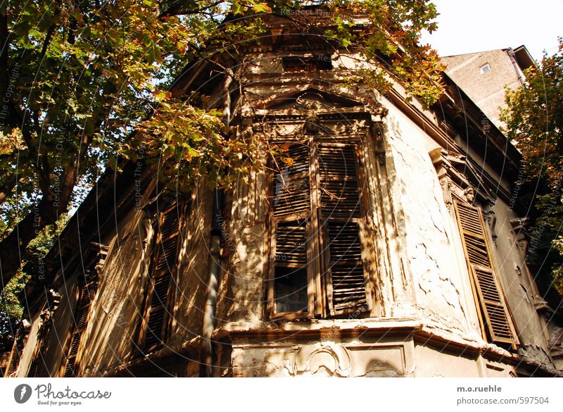 belgrade I remember Lifestyle Vacation & Travel Tourism City trip Summer Landscape Beautiful weather Tree Belgrade Capital city Downtown Old town