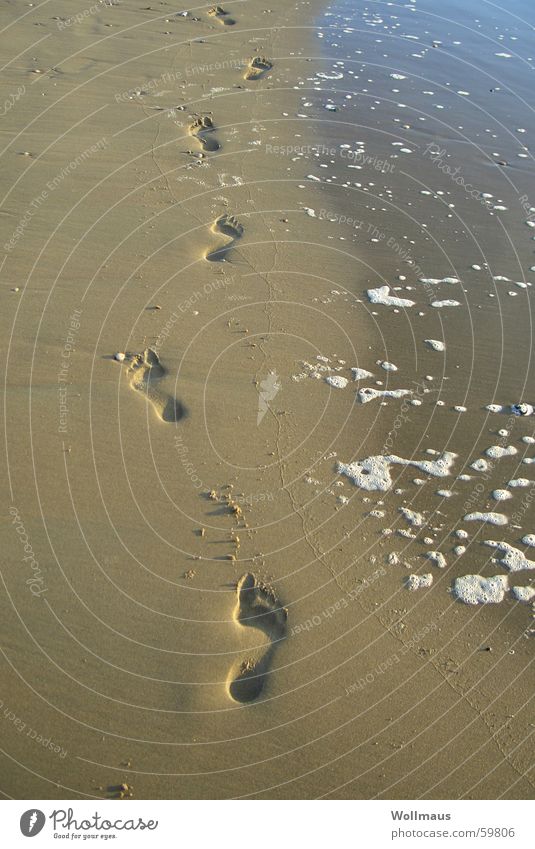 on the beach Beach Ocean Waves Tracks Footprint Going Sand Water Feet Barefoot