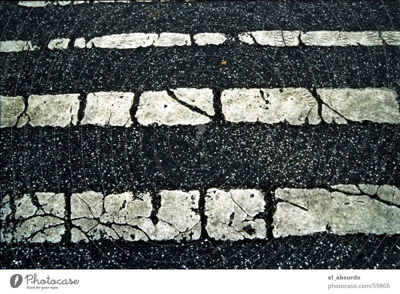 zebra Asphalt Pattern zebra crossing. road Contrast