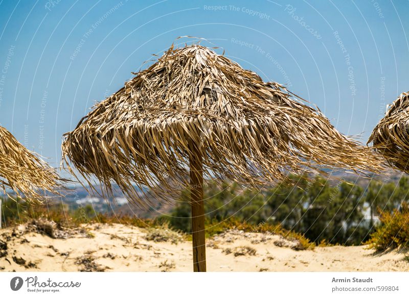 Parasol made of reed in the wind Relaxation Vacation & Travel Tourism Summer Summer vacation Sunbathing Beach Nature Sand Cloudless sky Beautiful weather Wind