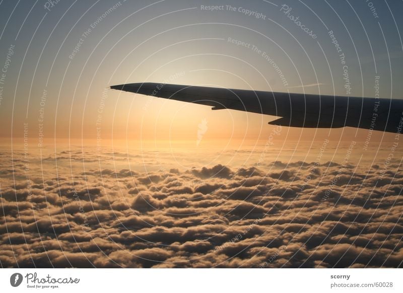 Dawn above the sky... Airplane Clouds Sunrise Window seat Return Covers (Construction) Sky Morning Wing Incident in the air Aircraft Passenger plane Flying Span