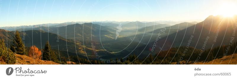 evening panorama Panorama (View) Tree Forest Alpine pasture Peak Sunset Austria Mountain Hut Vantage point Lighting Valley Far-off places Large