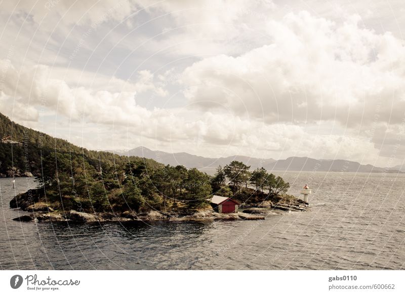 Fjord II Environment Nature Landscape Clouds Autumn Bad weather Fog Tree Rock Waves Coast Lakeside Bay Exceptional Threat Far-off places Gigantic Wet Brown