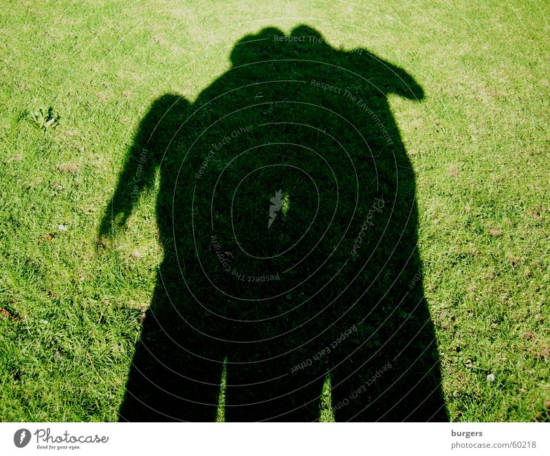 Horse? Camel? Mythical creature Grass Green Evening sun Shadow index Playing Shadow play Exterior shot Human being Lawn Fantasy literature shadowy Joy Attempt
