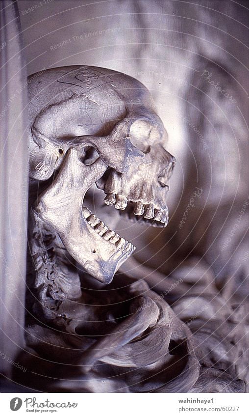 Grave sculpture, Stalieno, Genoa Skeleton Cemetery Ledger Genua Death's head Staglieno