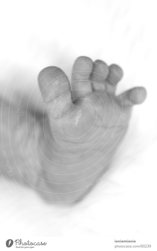Baby Toes Newborn Child Delicate Feet Barefoot